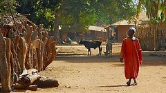 Dorf in Gambia