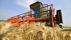 Der Landwirtschaftsetat ist Debattenthema am Dienstag, 24. Juni.