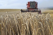 Für Ernährung und Landwirtschaft ist mehr Geld vorgesehen.