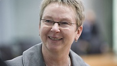 Kersten Steinke (Die Linke.)
