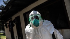 Deutschland soll sich verstärkt an der Bekämpfung des Ebolavirus beteiligen.