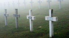 Grabkreuze auf dem Soldatenfriedhof auf dem Hartmannsweilerkopf (Vieil Armand) im Elsass (Frankreich)